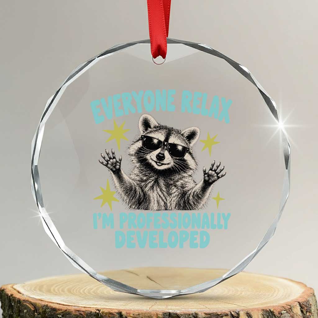 Everyone Relax I Am Professionally Developed Funny Raccoon Crystal Glass Ornament Office Work Humor Aesthetic