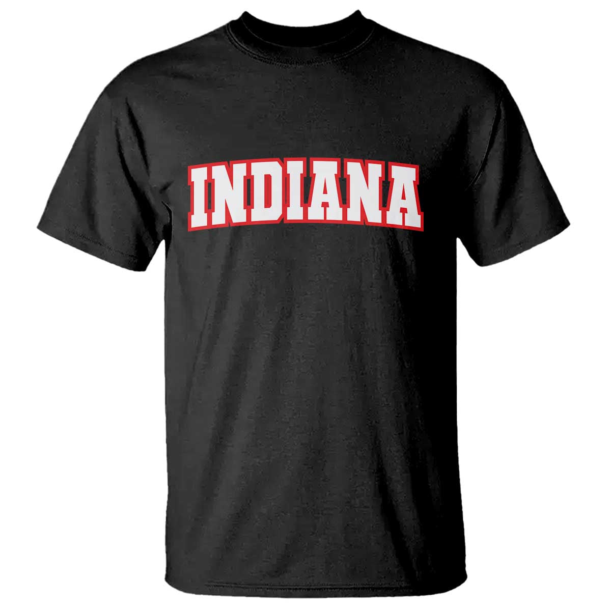 Indiana Fan T Shirt Vintage Athletic Sports Game Day TS10 Black Print Your Wear