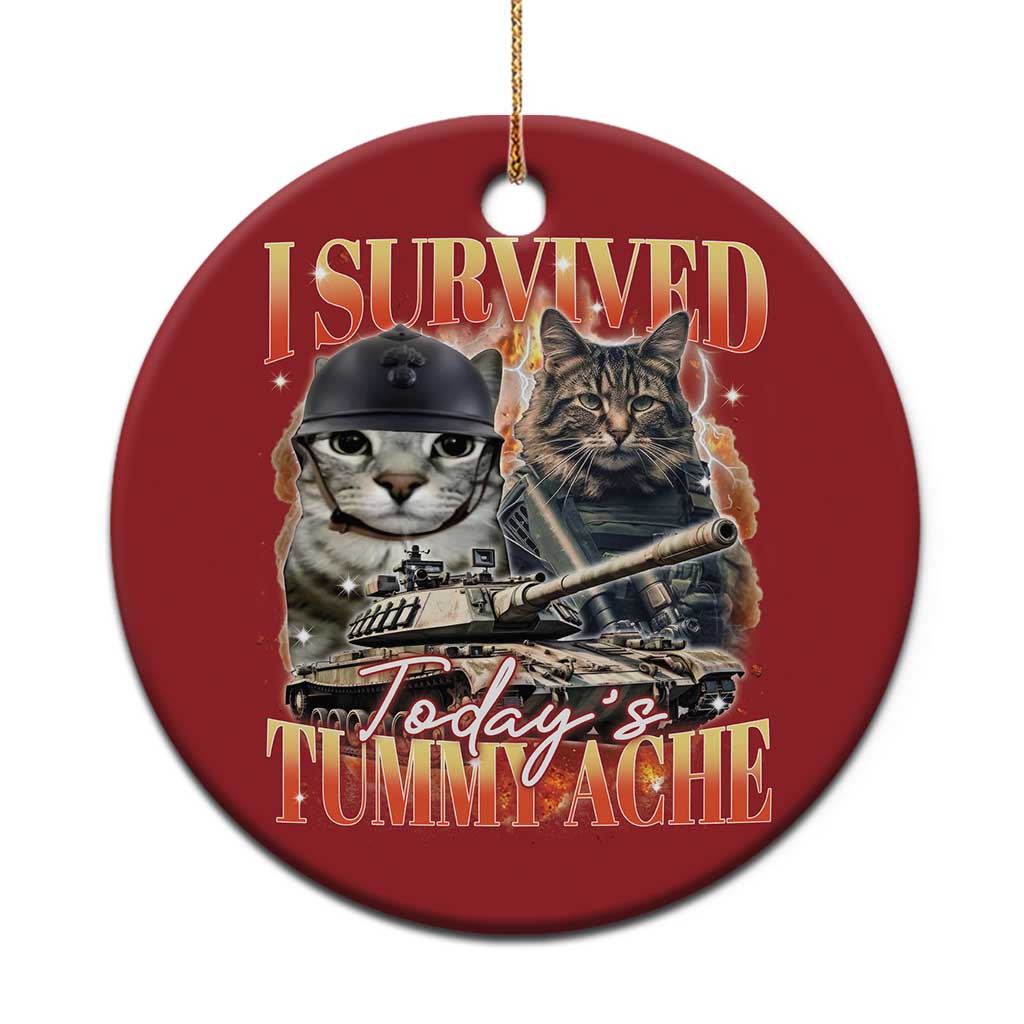 Tummy Ache Survivor Cat Meme Christmas Ornament Funny Saying Cats Bootleg TS10 Print Your Wear