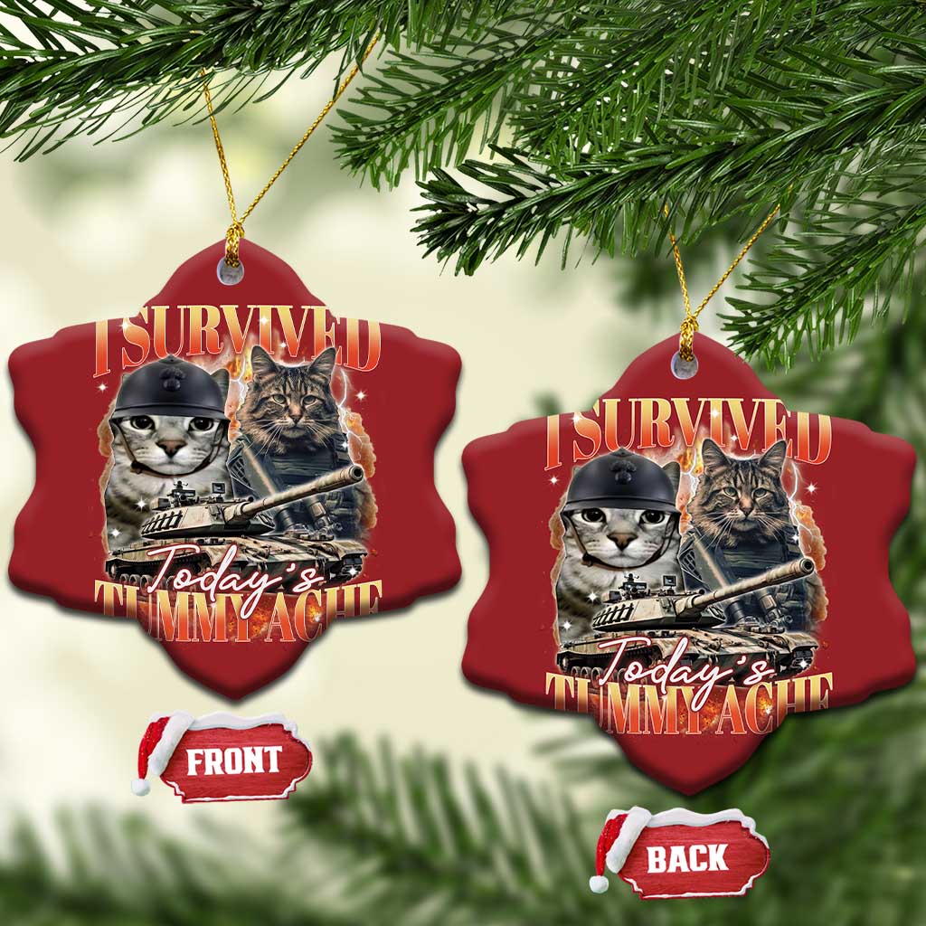 Tummy Ache Survivor Cat Meme Christmas Ornament Funny Saying Cats Bootleg TS10 Snow Flake Red Print Your Wear