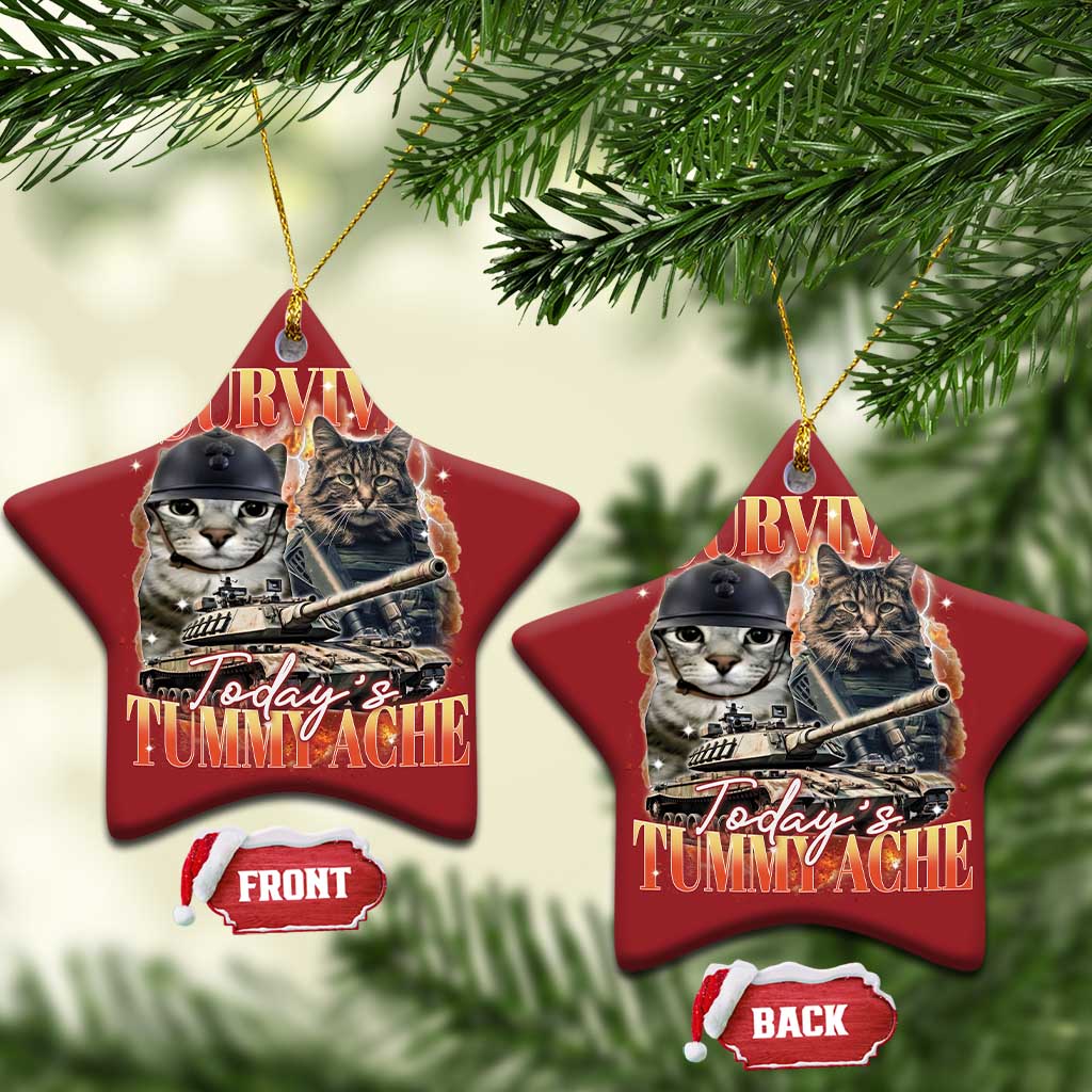 Tummy Ache Survivor Cat Meme Christmas Ornament Funny Saying Cats Bootleg TS10 Star Red Print Your Wear