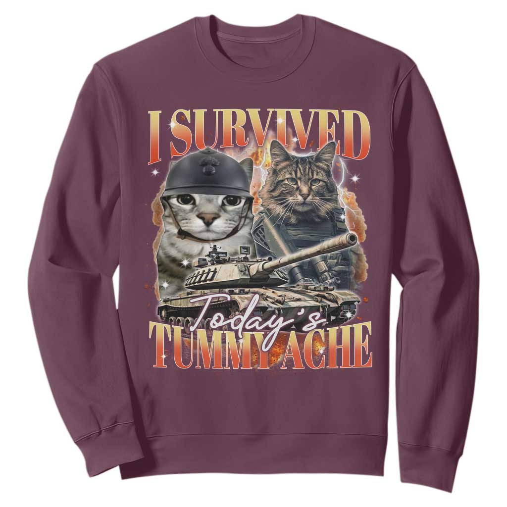 Tummy Ache Survivor Cat Meme Sweatshirt Funny Saying Cats Bootleg TS10 Maroon Print Your Wear