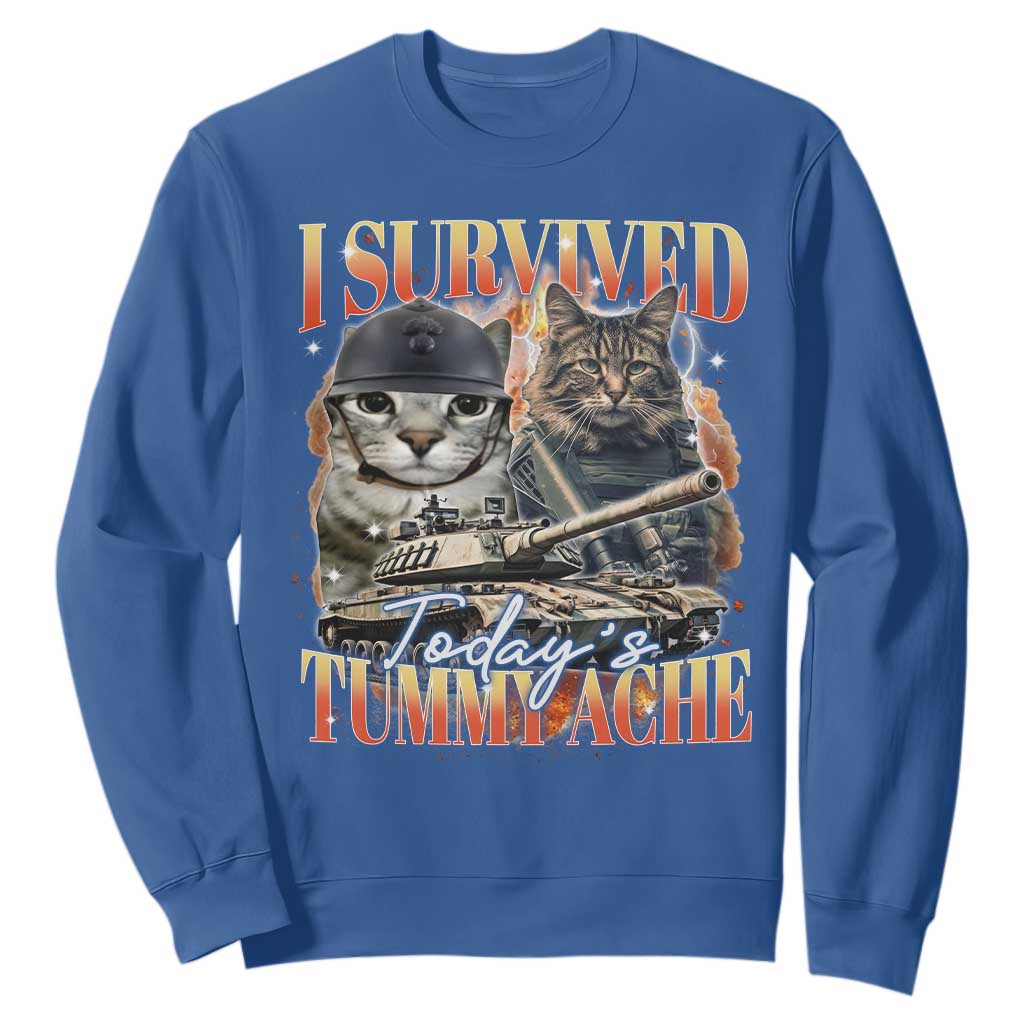Tummy Ache Survivor Cat Meme Sweatshirt Funny Saying Cats Bootleg TS10 Royal Blue Print Your Wear