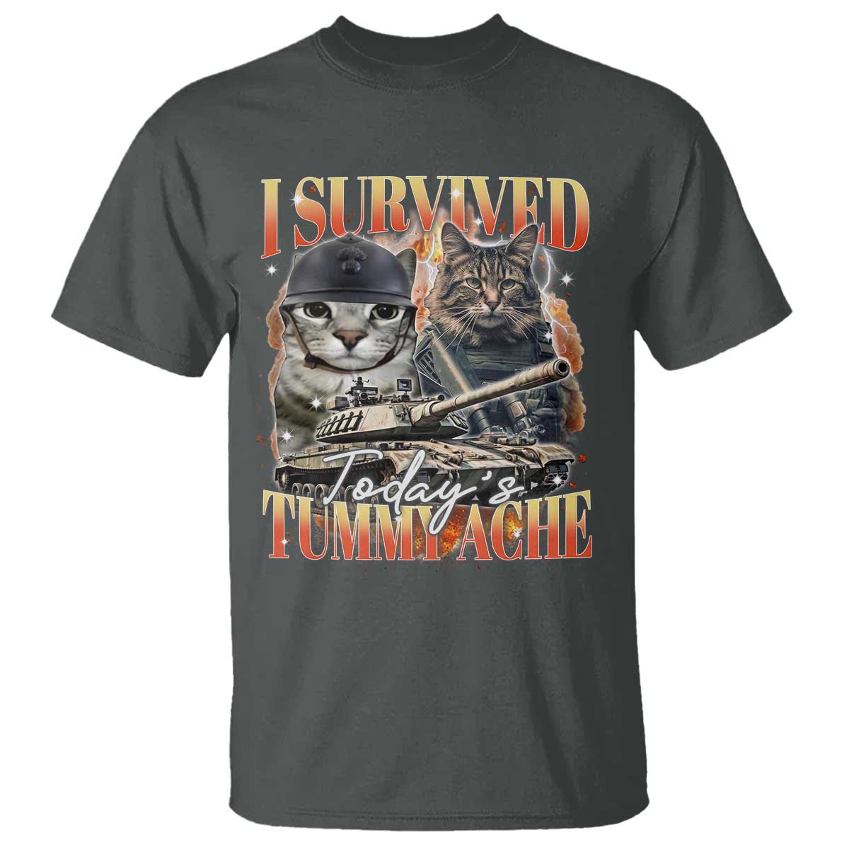 Tummy Ache Survivor Cat Meme T Shirt Funny Saying Cats Bootleg TS10 Dark Heather Print Your Wear