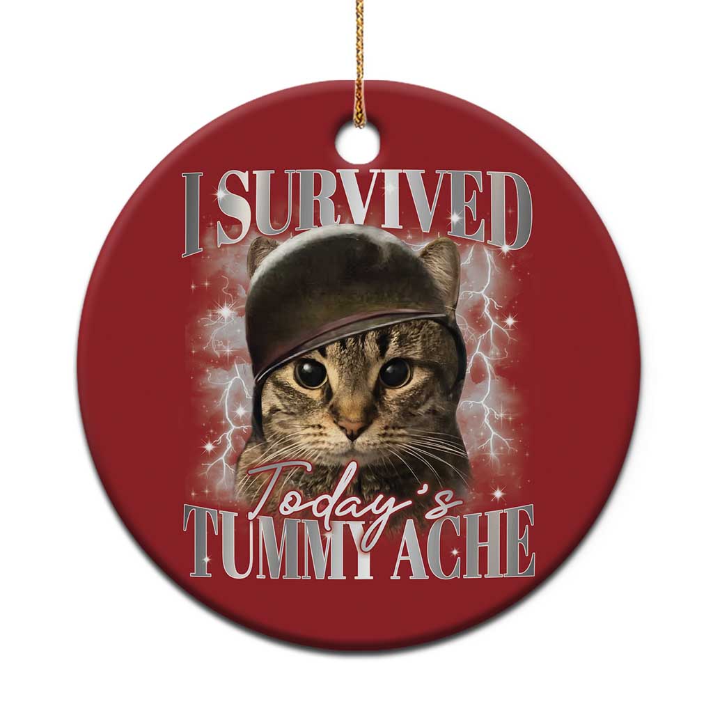 Tummy Ache Survivor Cat Meme Christmas Ornament Funny Saying Cats Cat Bootleg TS10 Print Your Wear