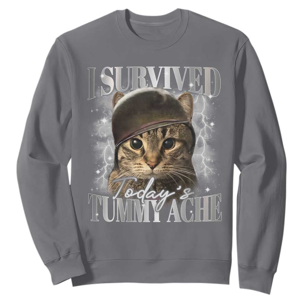 Tummy Ache Survivor Cat Meme Sweatshirt Funny Saying Cats Cat Bootleg TS10 Charcoal Print Your Wear