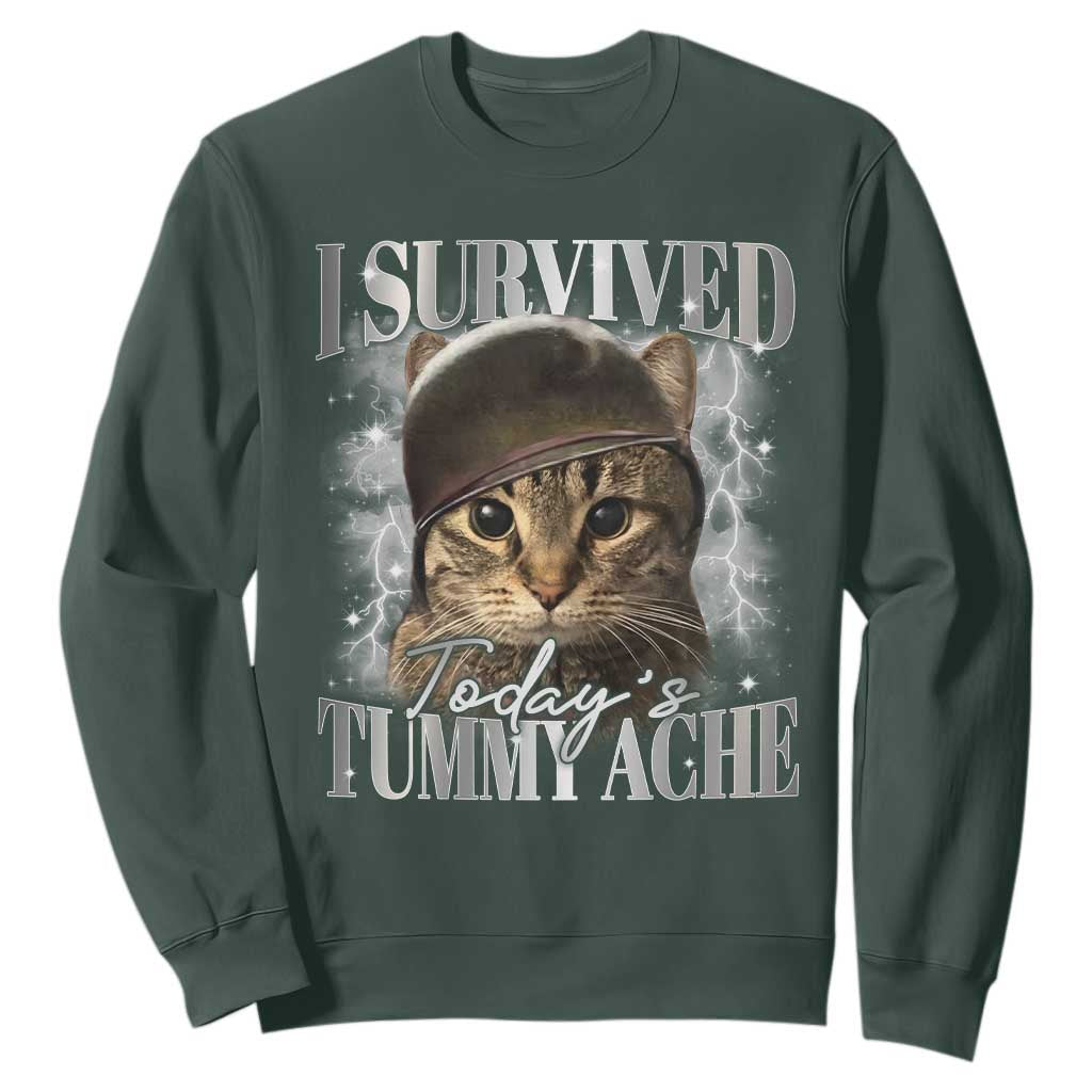 Tummy Ache Survivor Cat Meme Sweatshirt Funny Saying Cats Cat Bootleg TS10 Dark Forest Green Print Your Wear