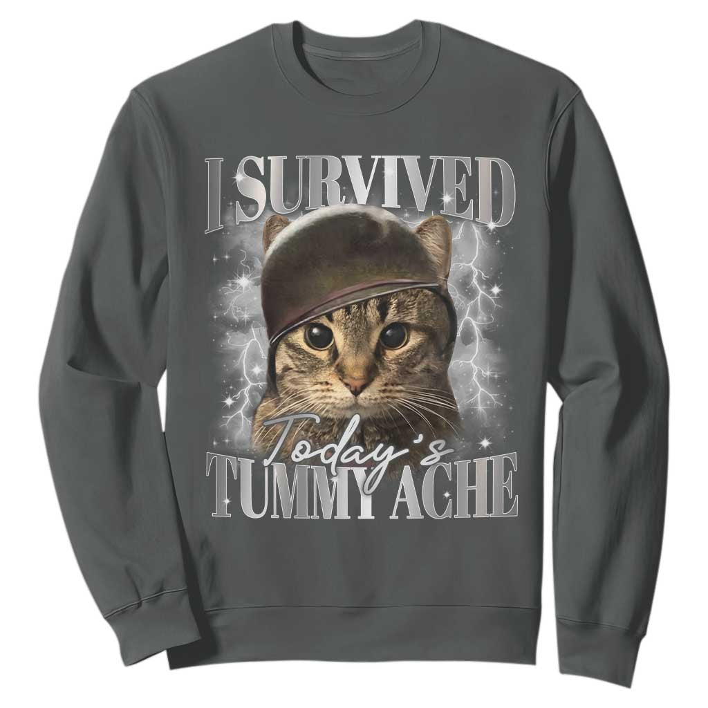 Tummy Ache Survivor Cat Meme Sweatshirt Funny Saying Cats Cat Bootleg TS10 Dark Heather Print Your Wear