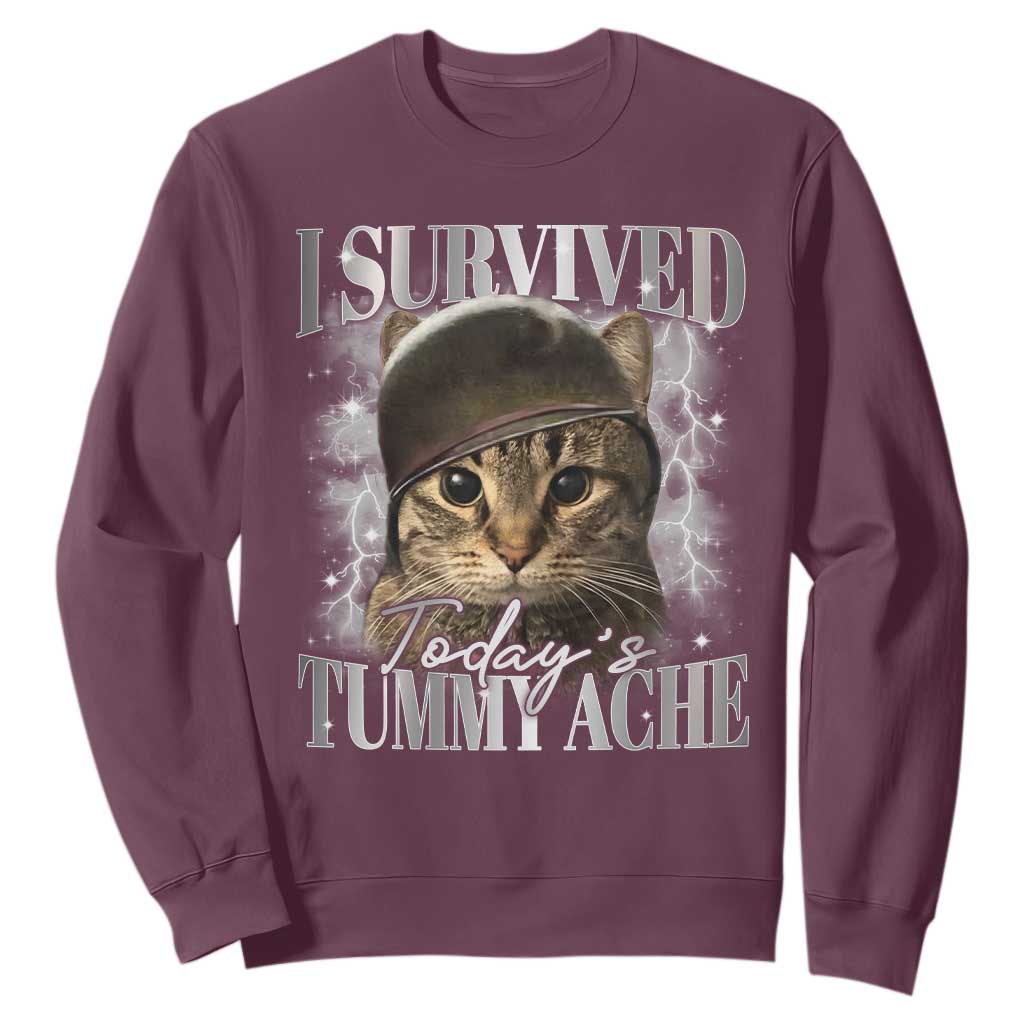 Tummy Ache Survivor Cat Meme Sweatshirt Funny Saying Cats Cat Bootleg TS10 Maroon Print Your Wear