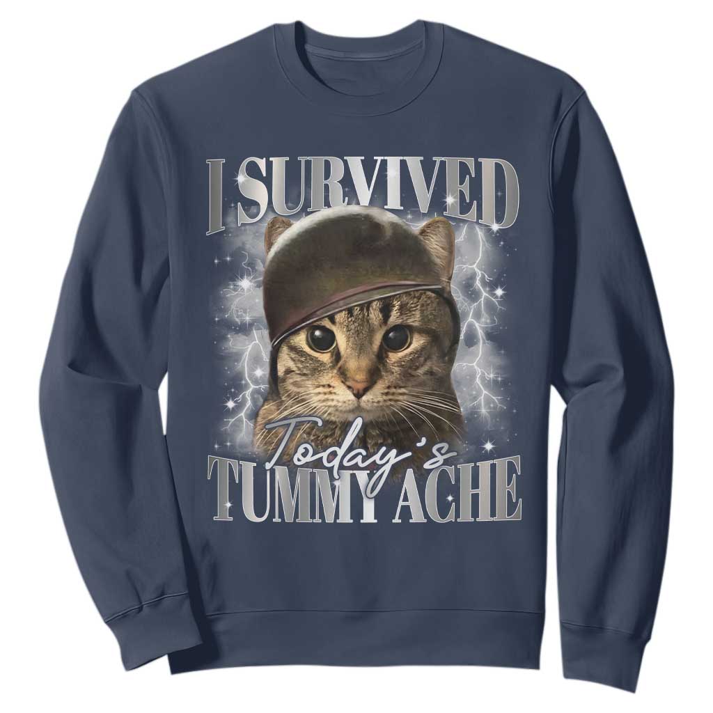 Tummy Ache Survivor Cat Meme Sweatshirt Funny Saying Cats Cat Bootleg TS10 Navy Print Your Wear