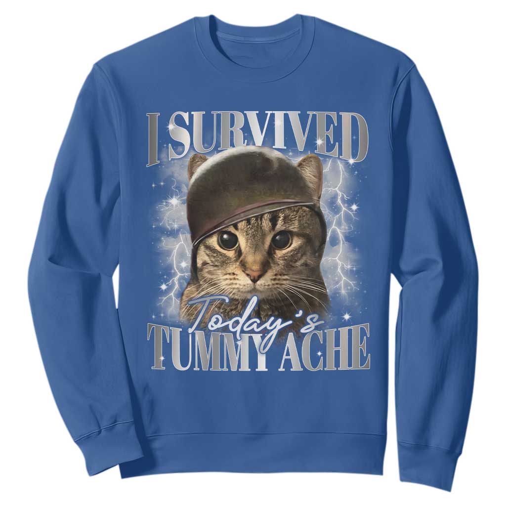 Tummy Ache Survivor Cat Meme Sweatshirt Funny Saying Cats Cat Bootleg TS10 Royal Blue Print Your Wear