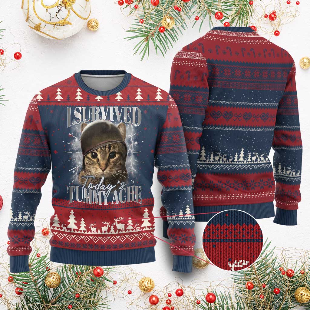 Tummy Ache Survivor Cat Meme Knit Sweatshirt Funny Saying Cats Cat Bootleg TS10 Burgundy Print Your Wear