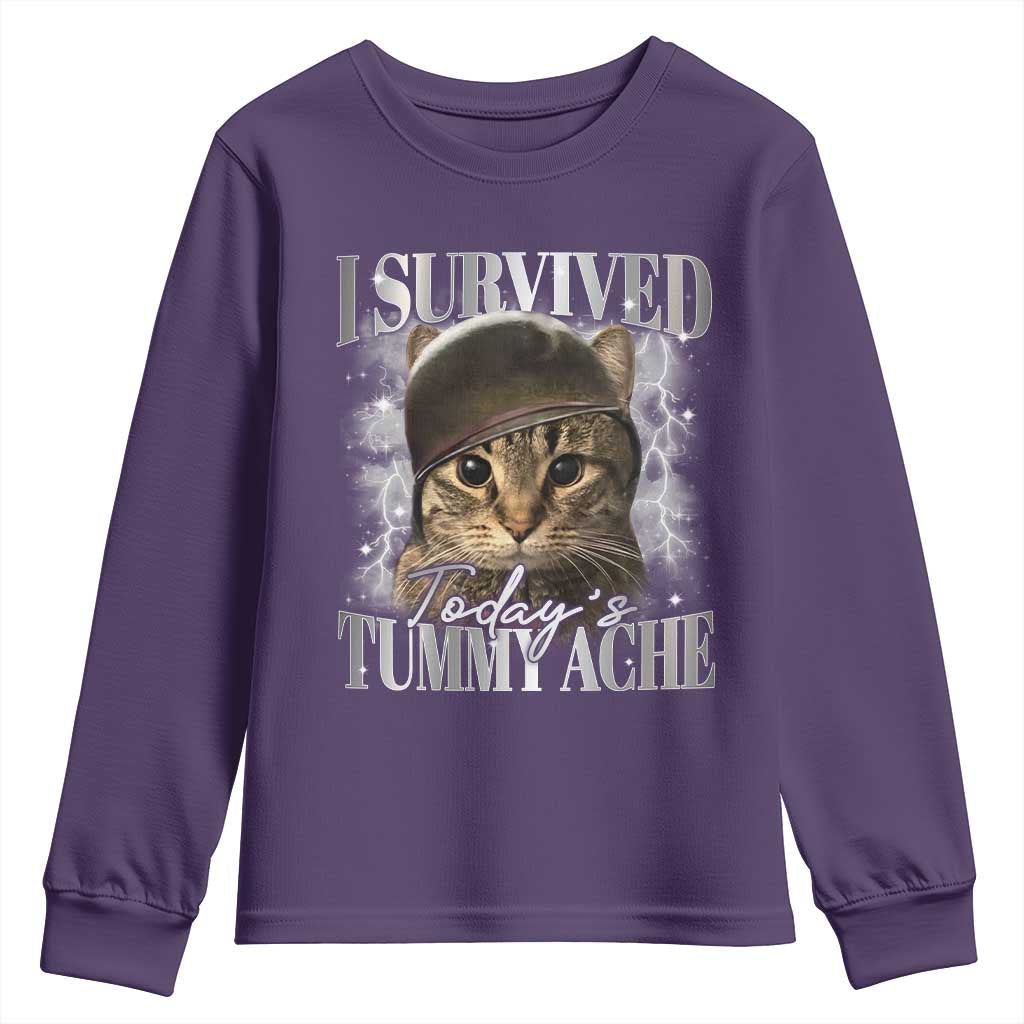 Tummy Ache Survivor Cat Meme Youth Sweatshirt Funny Saying Cats Cat Bootleg TS10 Purple Print Your Wear
