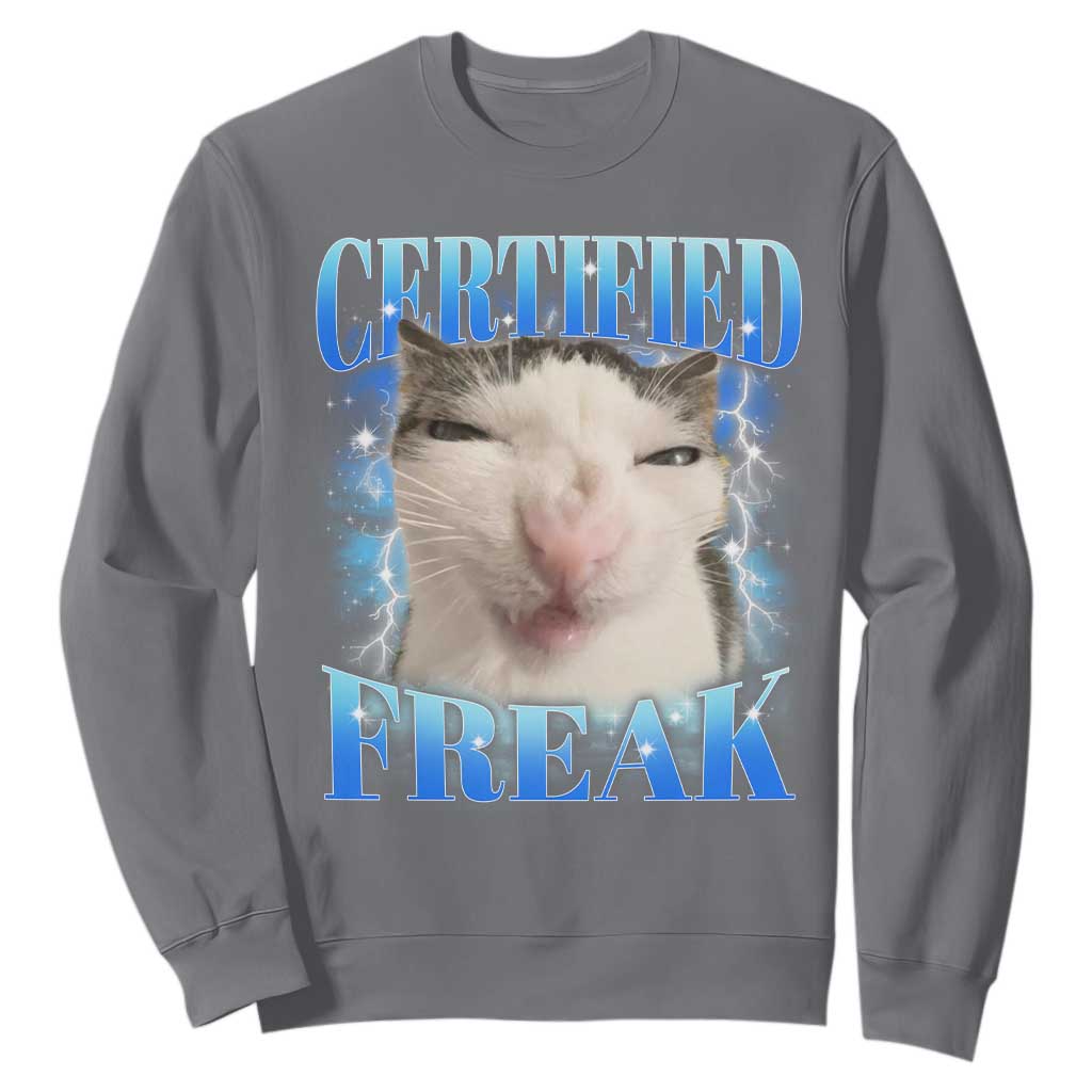 Certified Freak Funny Cat Meme Sweatshirt Internet Memes Gen Z TS10 Charcoal Print Your Wear