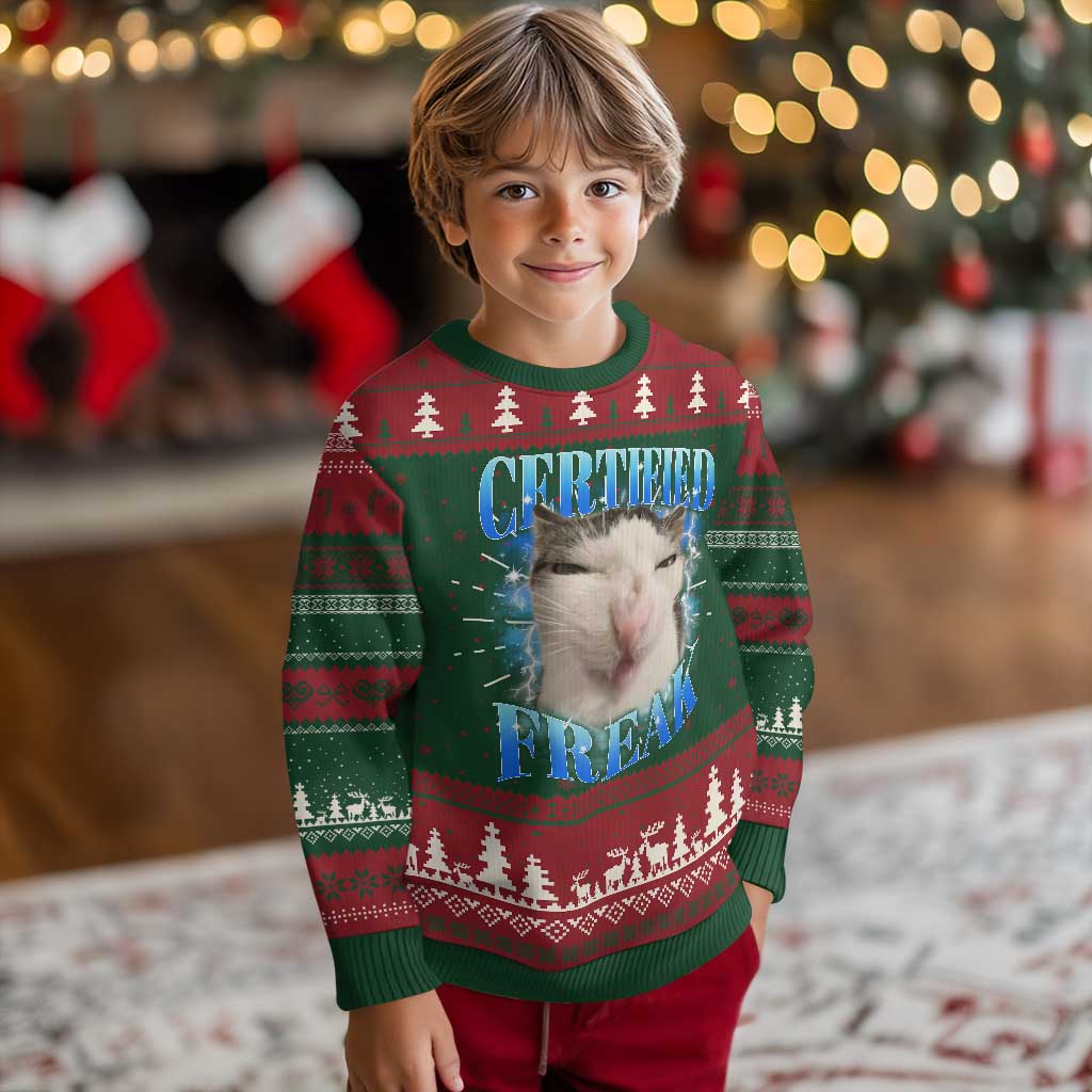 Certified Freak Funny Cat Meme Knit Sweatshirt Internet Memes Gen Z TS10 Christmas Print Your Wear