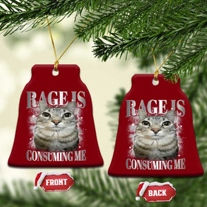 Rage Is Consuming Me Ceramic Ornament Funny Silly Cat Memes TS10 Print Your Wear