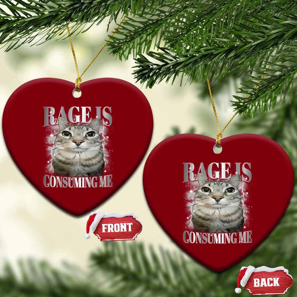 Rage Is Consuming Me Ceramic Ornament Funny Silly Cat Memes TS10 Print Your Wear