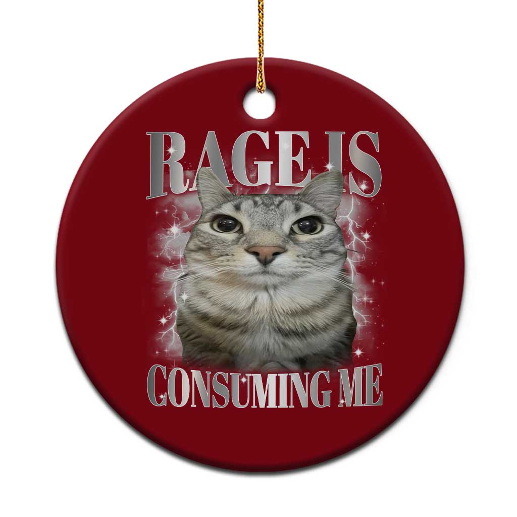 Rage Is Consuming Me Ceramic Ornament Funny Silly Cat Memes TS10 1pc Red Print Your Wear