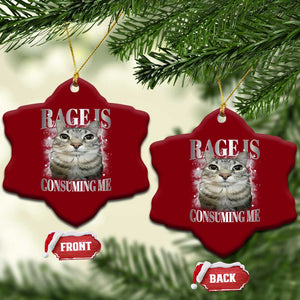 Rage Is Consuming Me Ceramic Ornament Funny Silly Cat Memes TS10 Print Your Wear