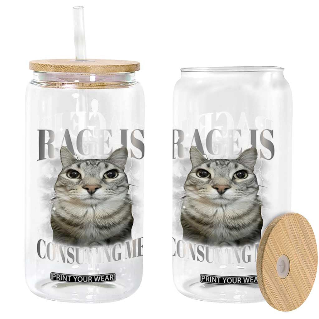 Rage Is Consuming Me Glass Can Funny Silly Cat Memes TS10 Print Your Wear