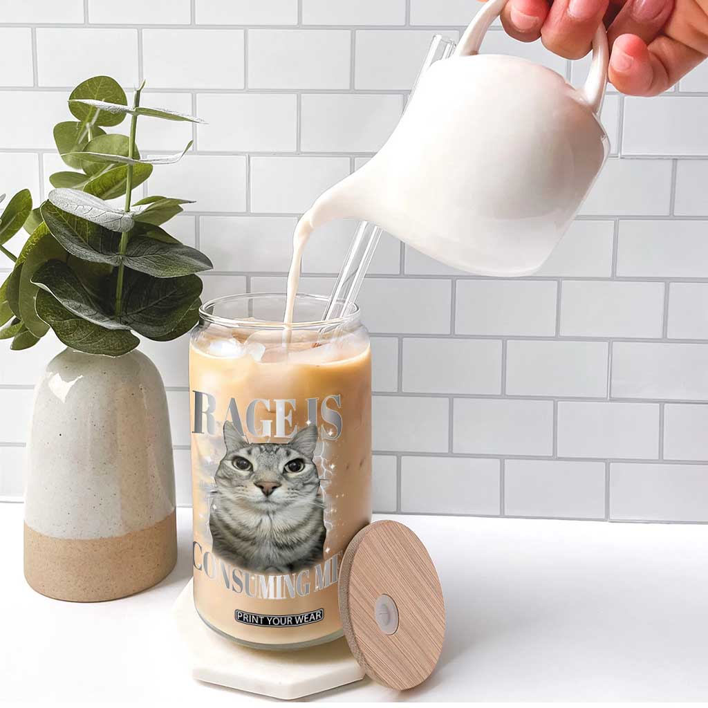 Rage Is Consuming Me Glass Can Funny Silly Cat Memes TS10 Print Your Wear