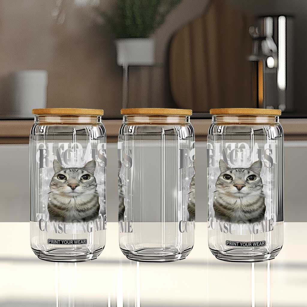 Rage Is Consuming Me Glass Can Funny Silly Cat Memes TS10 Print Your Wear