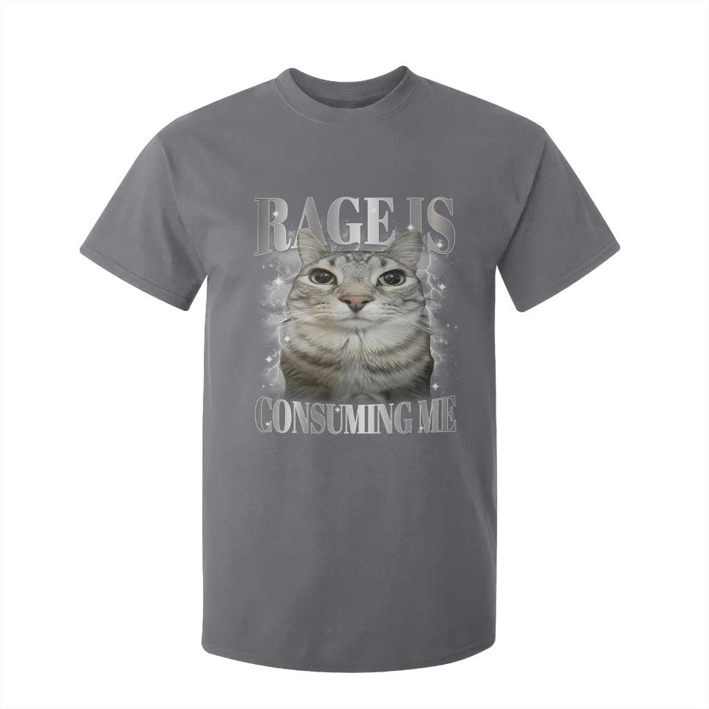 Rage Is Consuming Me T Shirt For Kid Funny Silly Cat Memes TS10 Charcoal Print Your Wear