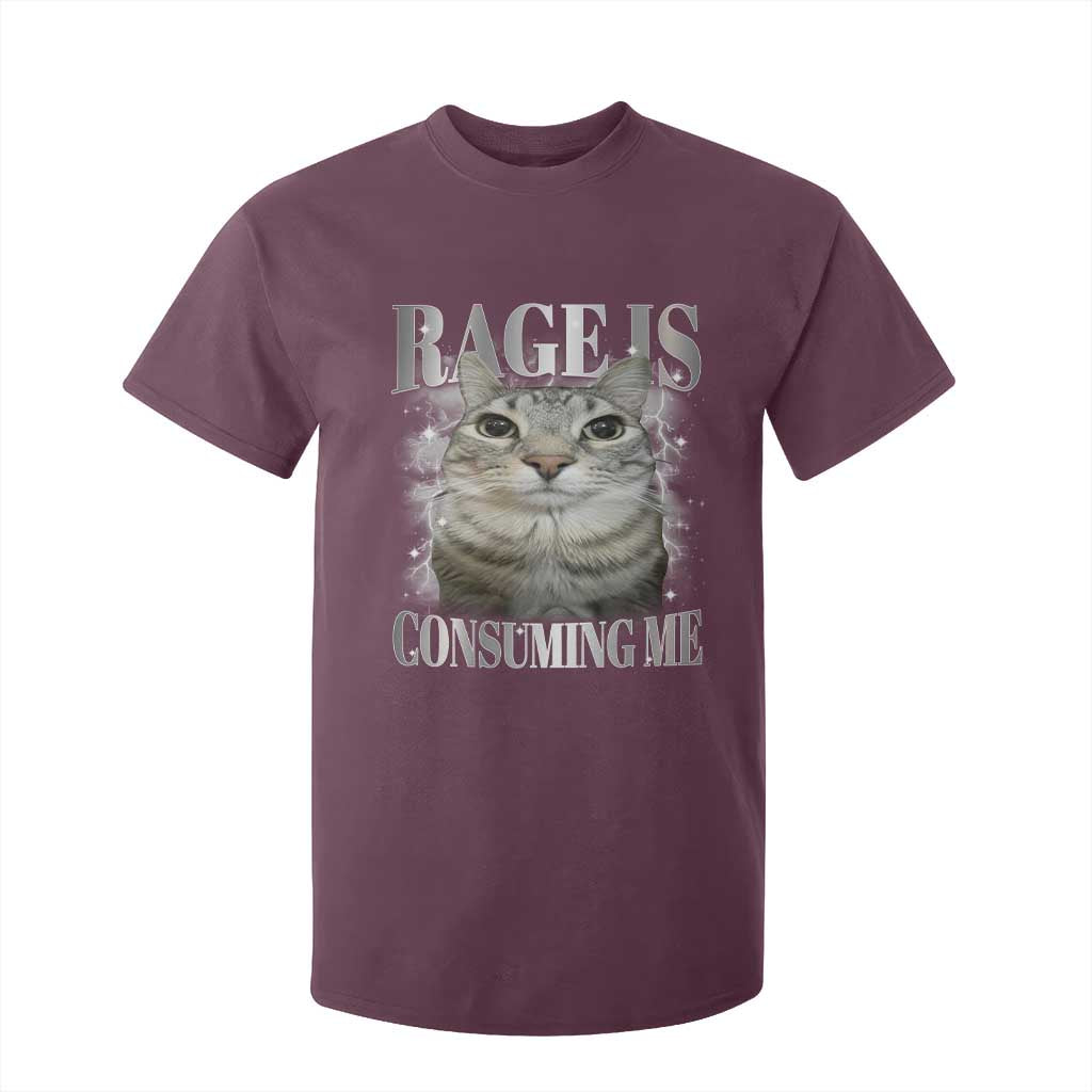 Rage Is Consuming Me T Shirt For Kid Funny Silly Cat Memes TS10 Maroon Print Your Wear