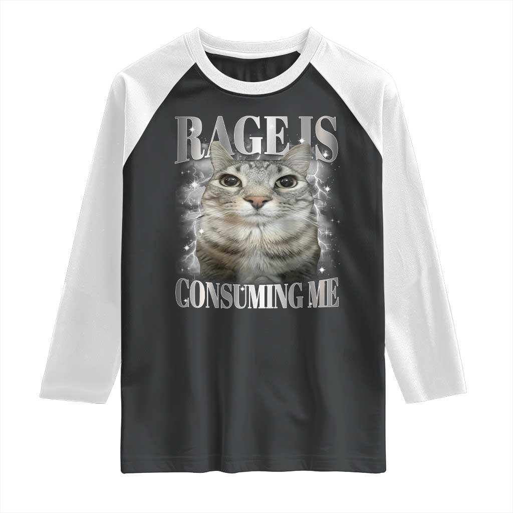 Rage Is Consuming Me Raglan Shirt Funny Silly Cat Memes TS10 Black White Print Your Wear