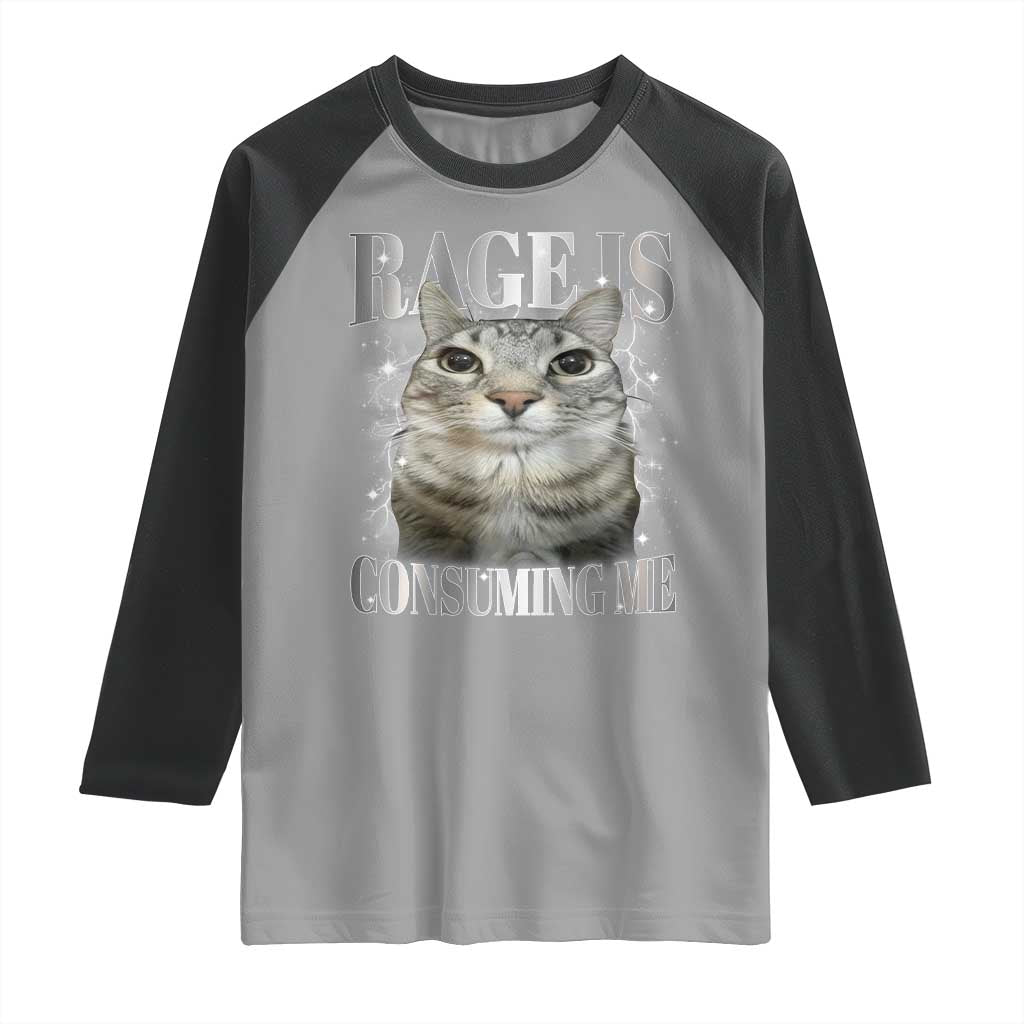 Rage Is Consuming Me Raglan Shirt Funny Silly Cat Memes TS10 Sport Gray Black Print Your Wear