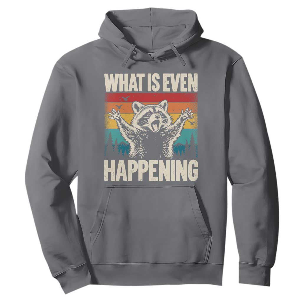 What Is Even Happening Funny Raccoon Meme Hoodie Retro Sunset Graphic