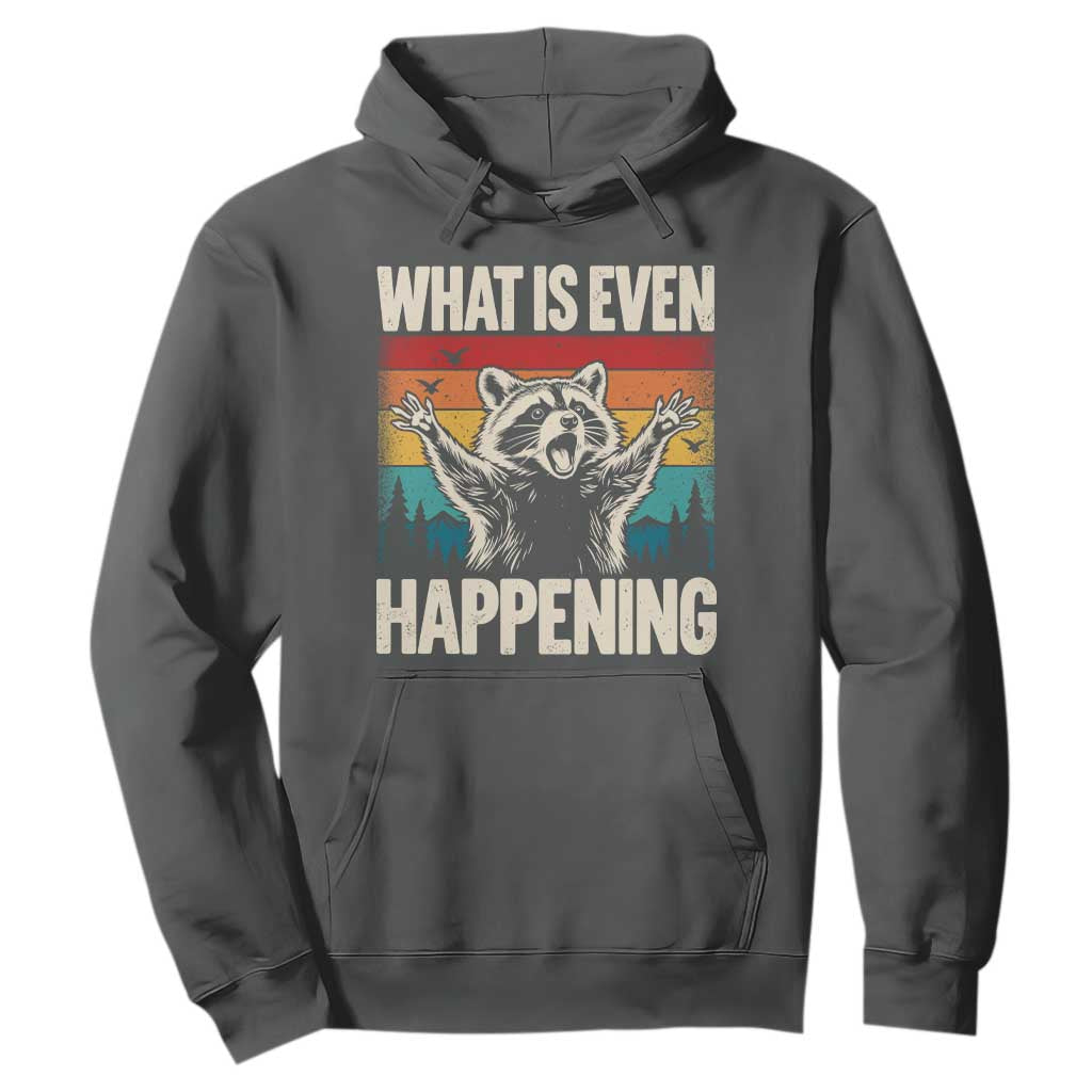 What Is Even Happening Funny Raccoon Meme Hoodie Retro Sunset Graphic