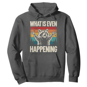 What Is Even Happening Funny Raccoon Meme Hoodie Retro Sunset Graphic
