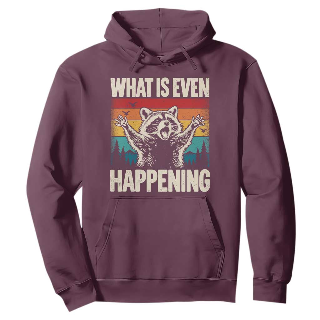 What Is Even Happening Funny Raccoon Meme Hoodie Retro Sunset Graphic