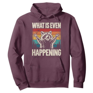 What Is Even Happening Funny Raccoon Meme Hoodie Retro Sunset Graphic