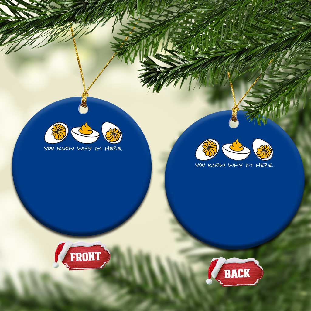 Funny Easter Ceramic Ornament You Know Why Im Here TS10 1pc Blue Print Your Wear