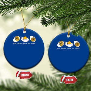 Funny Easter Ceramic Ornament You Know Why Im Here TS10 1pc Blue Print Your Wear
