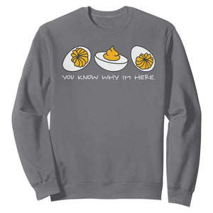Funny Easter Sweatshirt You Know Why Im Here TS10 Charcoal Print Your Wear