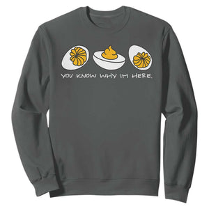 Funny Easter Sweatshirt You Know Why Im Here TS10 Dark Heather Print Your Wear