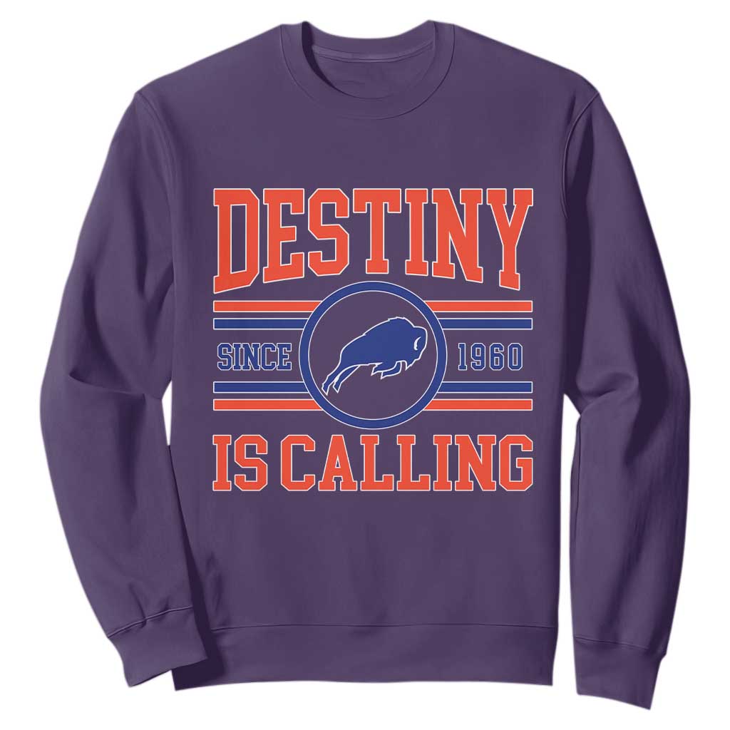 BFB Football Sweatshirt Funny Vintage 90s TS10 Purple Print Your Wear