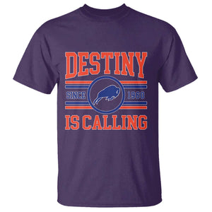 BFB Football T Shirt Funny Vintage 90s TS10 Purple Print Your Wear