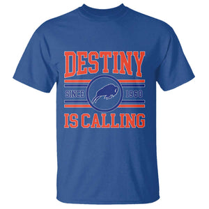 BFB Football T Shirt Funny Vintage 90s TS10 Royal Blue Print Your Wear