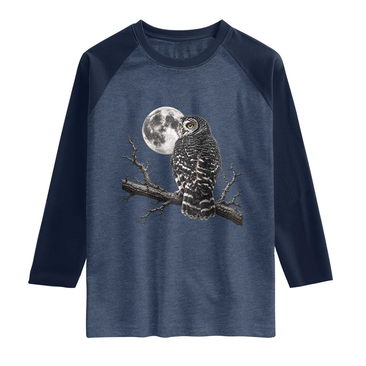 Owl Full Moon Graphic Raglan Shirt Vintage Dark Academia Bird TS10 Heather Denim Navy Print Your Wear