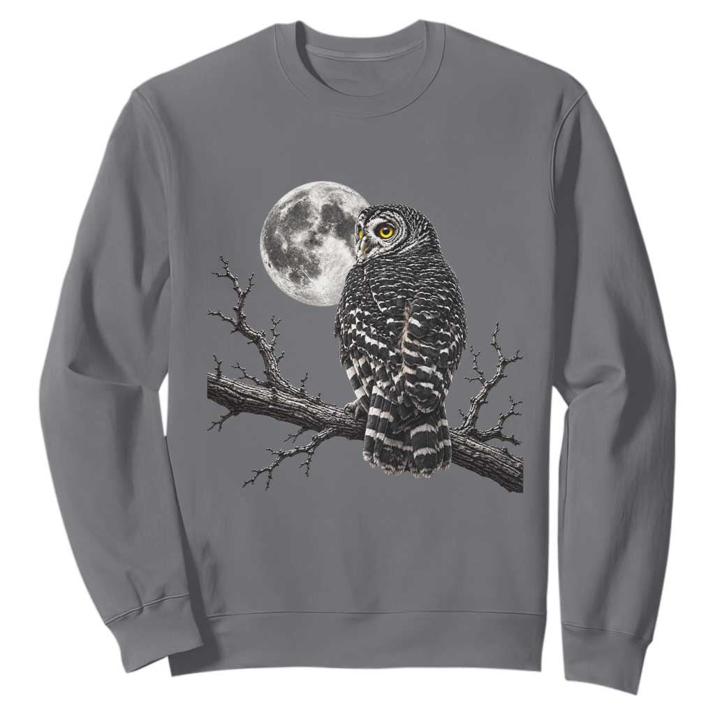 Owl Full Moon Graphic Sweatshirt Vintage Dark Academia Bird TS10 Charcoal Print Your Wear