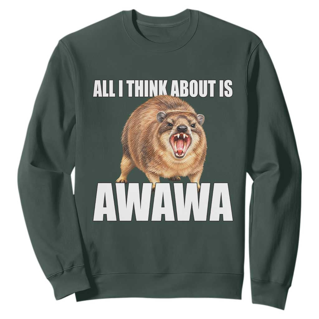 Funny Hyrax Meme Sweatshirt All I Think About Is Awawa