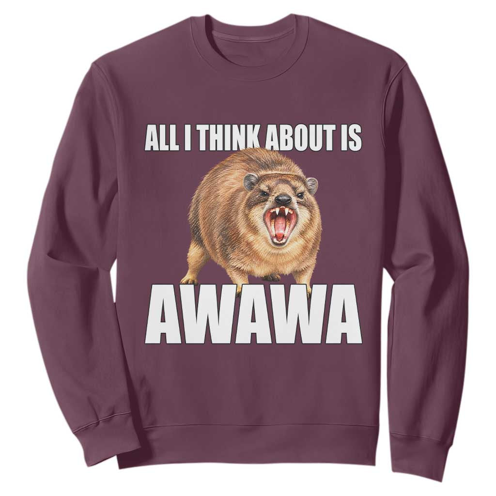 Funny Hyrax Meme Sweatshirt All I Think About Is Awawa