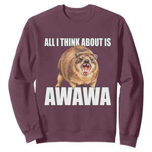 Funny Hyrax Meme Sweatshirt All I Think About Is Awawa