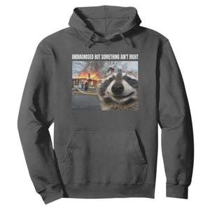 Raccoon Meme Hoodie Undiagnosed But Something Aint Right TS10 Dark Heather Print Your Wear