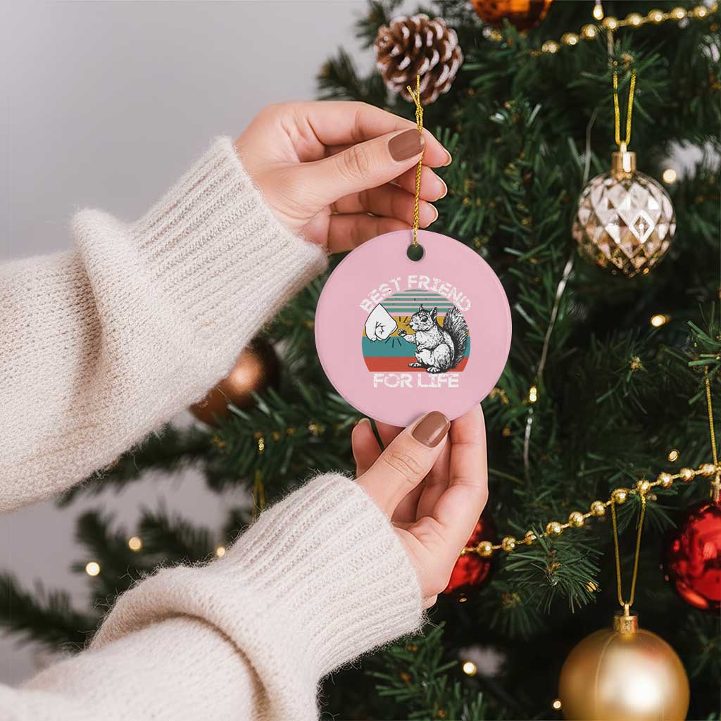 Squirrel Lover Ceramic Ornament Funny Vintage Squirrel Gift Best Friend For Life TS10 1pc Light Pink Print Your Wear