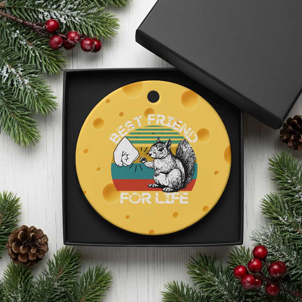 Squirrel Lover Ceramic Ornament Funny Vintage Squirrel Gift Best Friend For Life TS10 1pc Yellow Cheese Print Your Wear